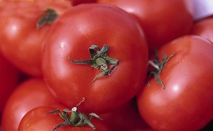pomidory 032
