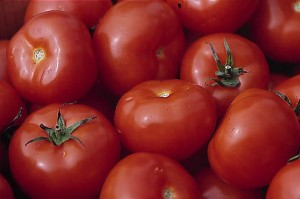 pomidory 051